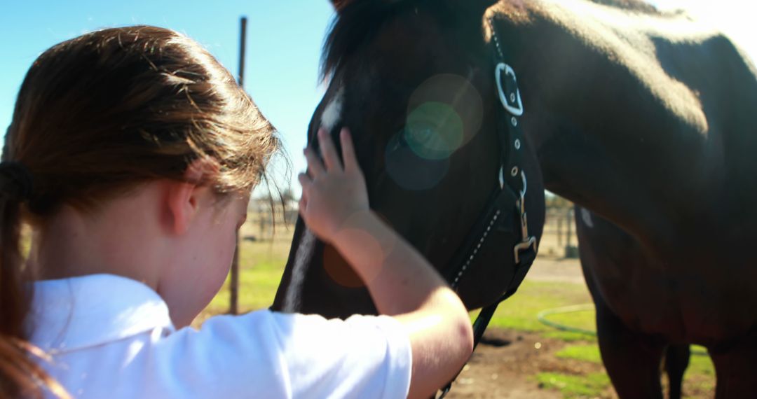 Young Girl Petting Horse at Ranch - Free Images, Stock Photos and Pictures on Pikwizard.com