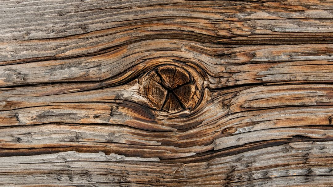 Close-up of Weathered Wood Texture with Knot and Grain Pattern - Free Images, Stock Photos and Pictures on Pikwizard.com