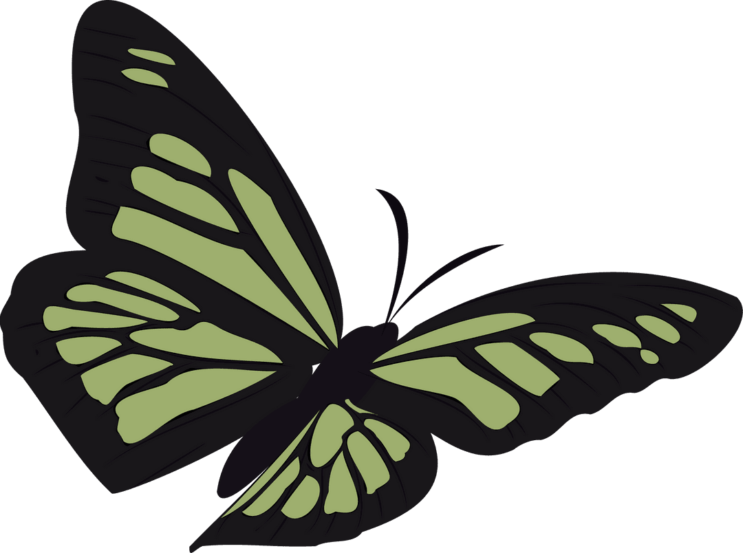 Elegant Butterfly Flat Design on Transparent Background