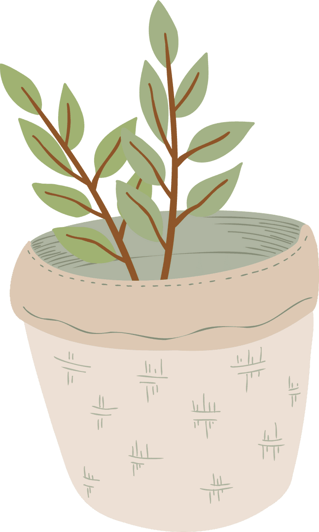 Elegant Planter Illustration on Transparent Background