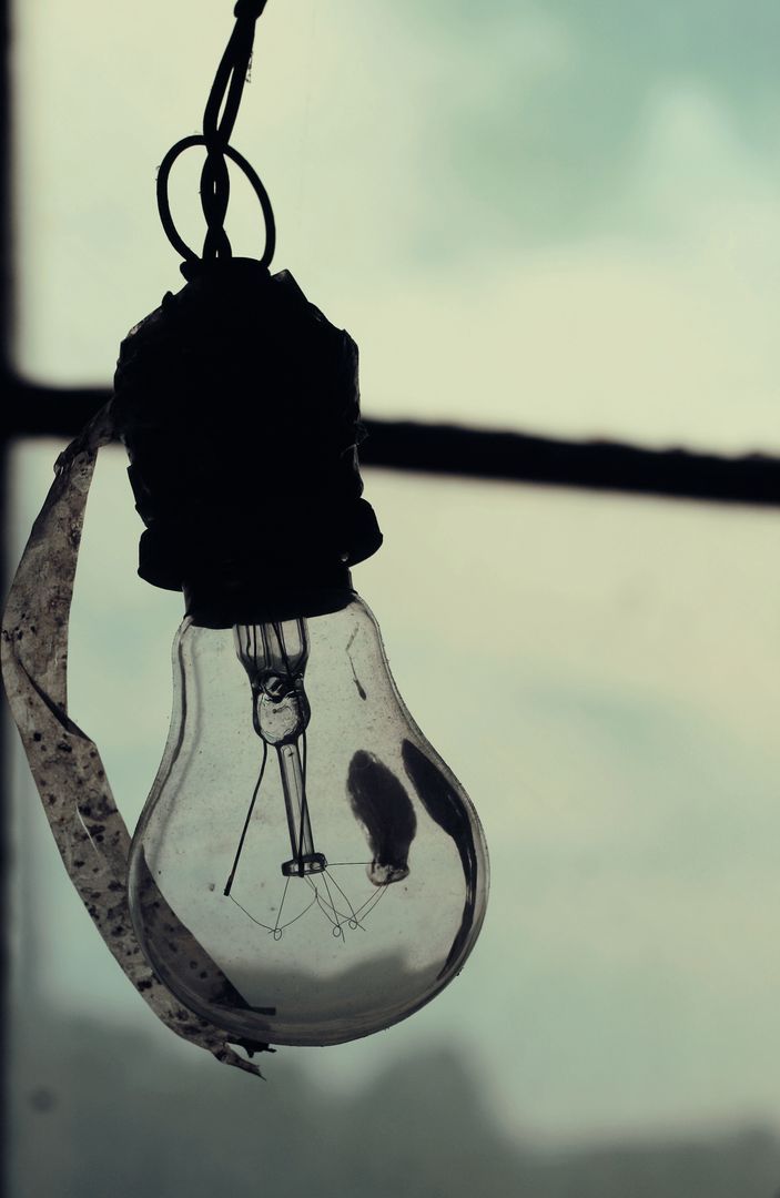 Broken Light Bulb with Dead Bug Hanging in Abandoned Building