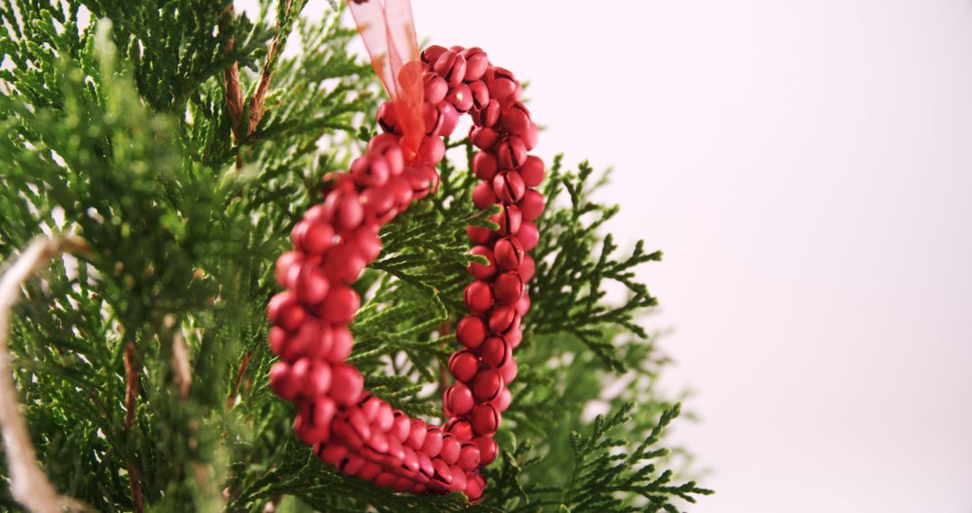 Handcrafted Heart-Shaped Christmas Ornament on Evergreen Tree - Free Images, Stock Photos and Pictures on Pikwizard.com