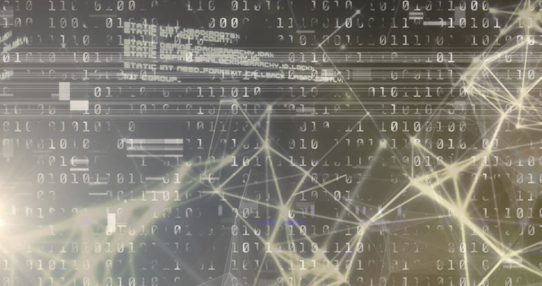 Abstract Digital Network with Binary Code