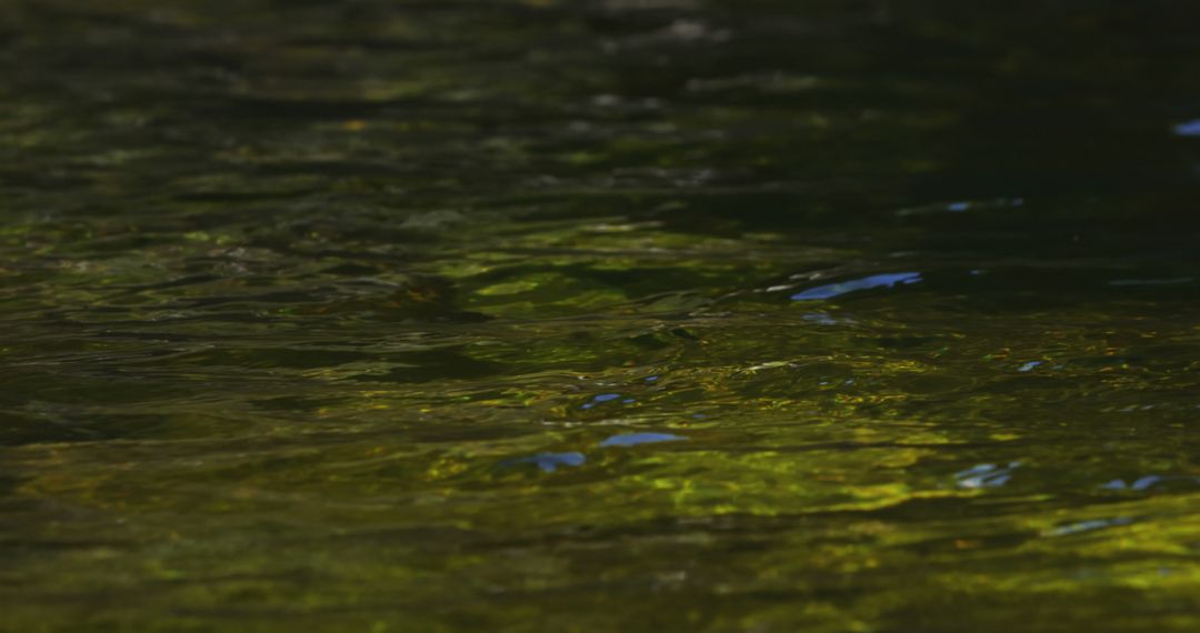 Sunlight Reflections on Calm River Surface - Free Images, Stock Photos and Pictures on Pikwizard.com