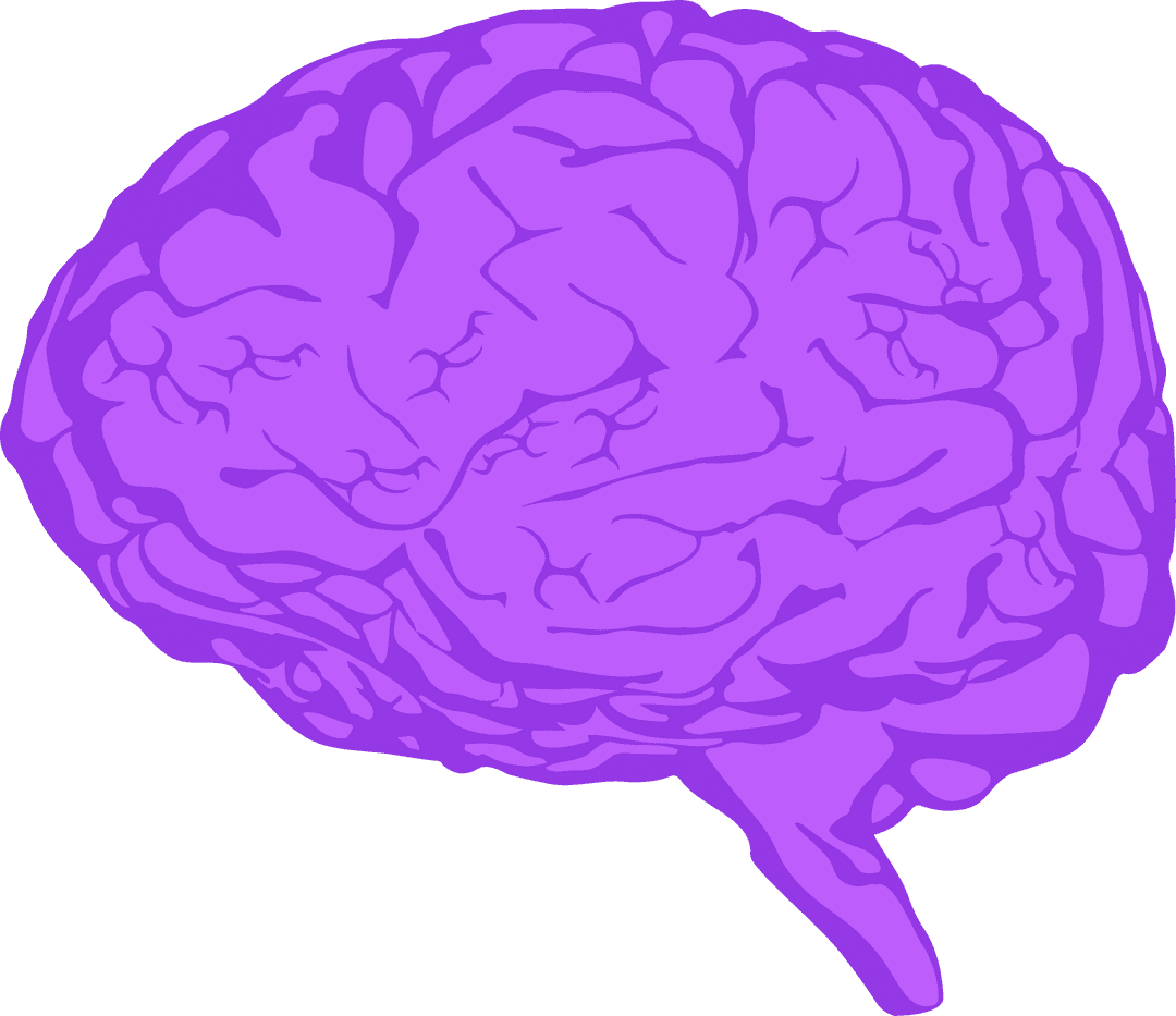 Purple Tone Brain Artwork on Transparent Background