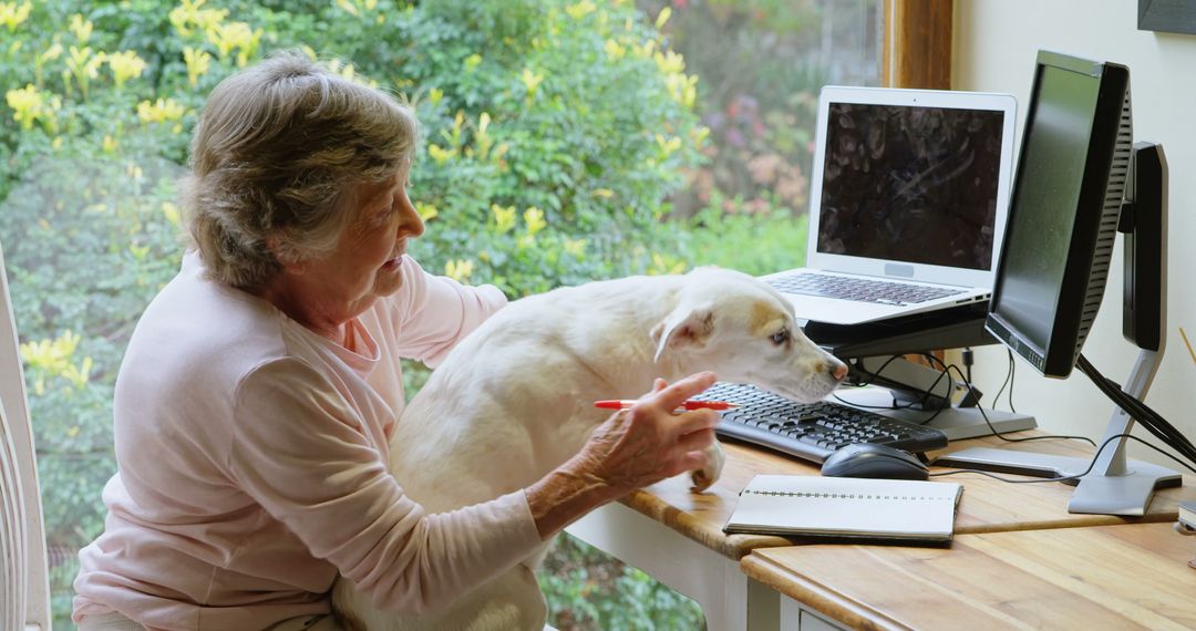 Senior Woman at Home Office With Dog Working on Computer - Free Images, Stock Photos and Pictures on Pikwizard.com