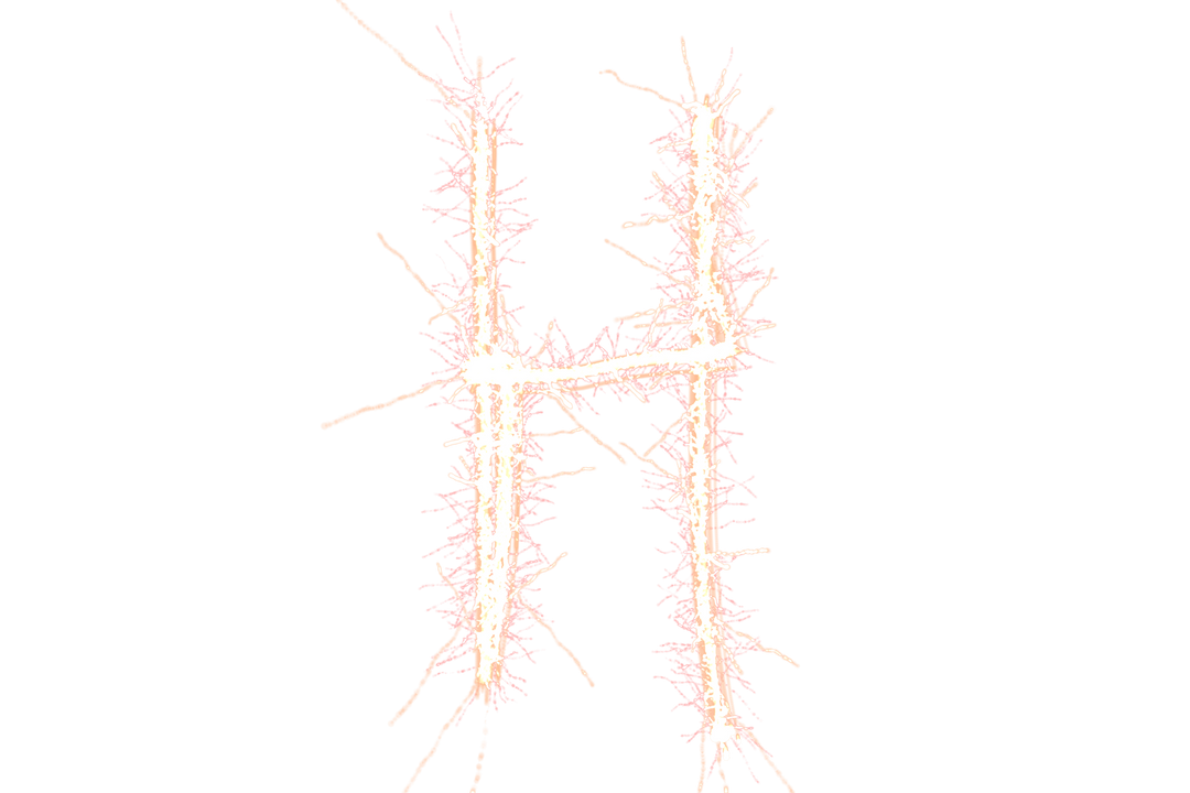 Sparkling H Letter Transparent Background - Download Free Stock Images Pikwizard.com