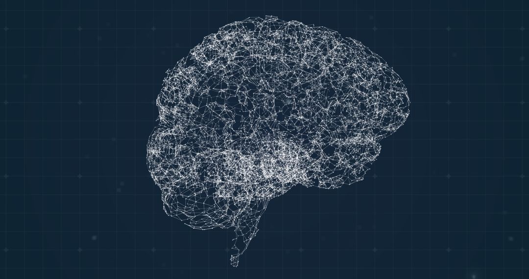 Digital Wireframe Brain Model on Virtual Grid Background