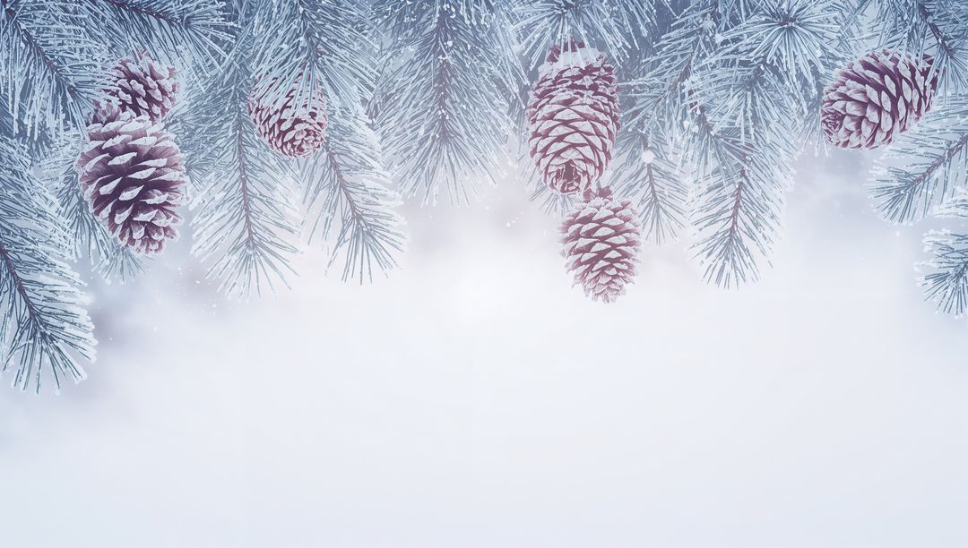 Frosted Evergreen Branches with Snow-Dusted Pine Cones Over Soft Winter Bokeh Background
