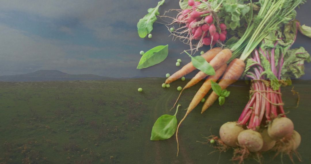 Root vegetables blending with moody landscape, radish carrot beet bunches tied with twine