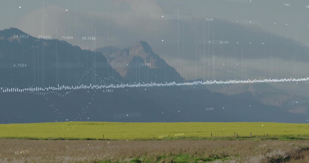 Digital Data Overlay Integrated with Peaceful Rural Landscape