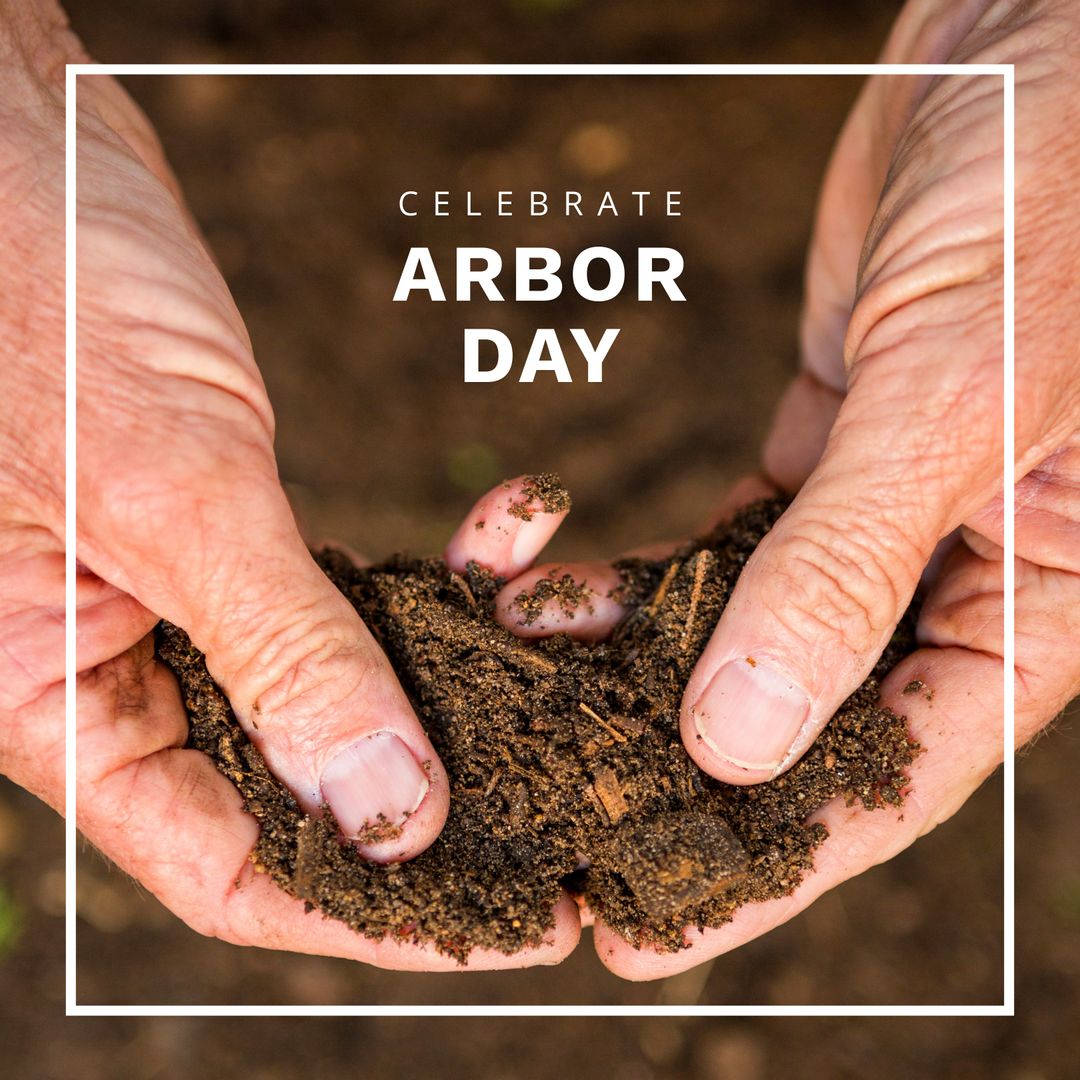 Caucasian Hands Holding Soil to Celebrate Arbor Day