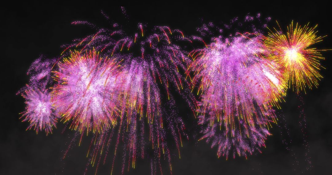 Vivid Pink and Yellow Fireworks Burst in Night Sky