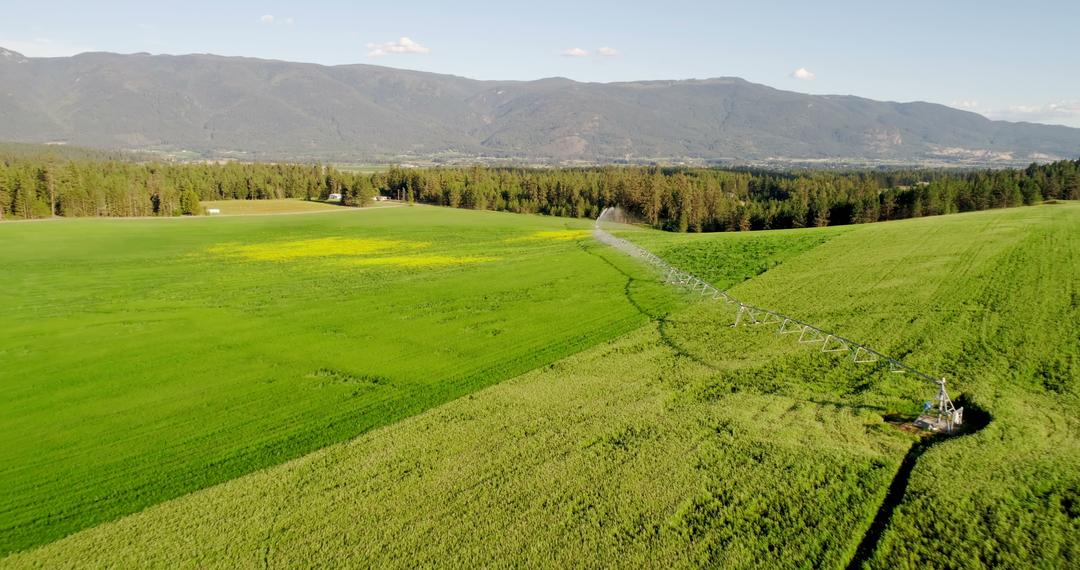 Aerial View of Lush Farmland With Irrigation System in Operation - Free Images, Stock Photos and Pictures on Pikwizard.com