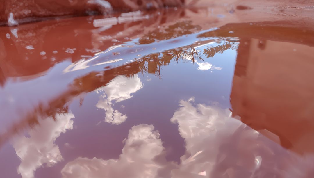 Reflecting blue sky and white clouds on glossy red surface with silhouetted branches
