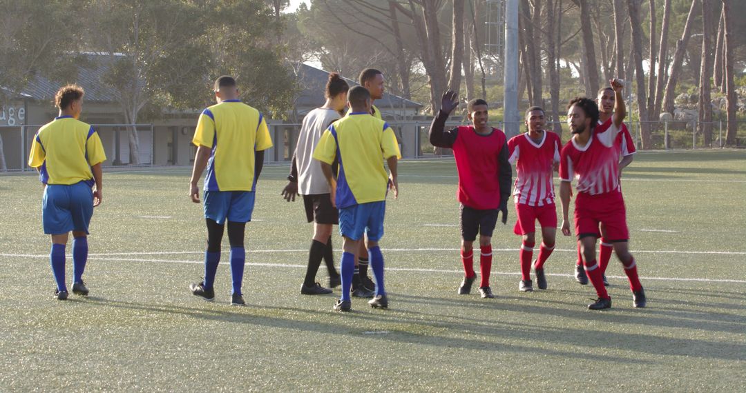 Soccer Players Showing Team Spirit through Sportsmanship Handshake