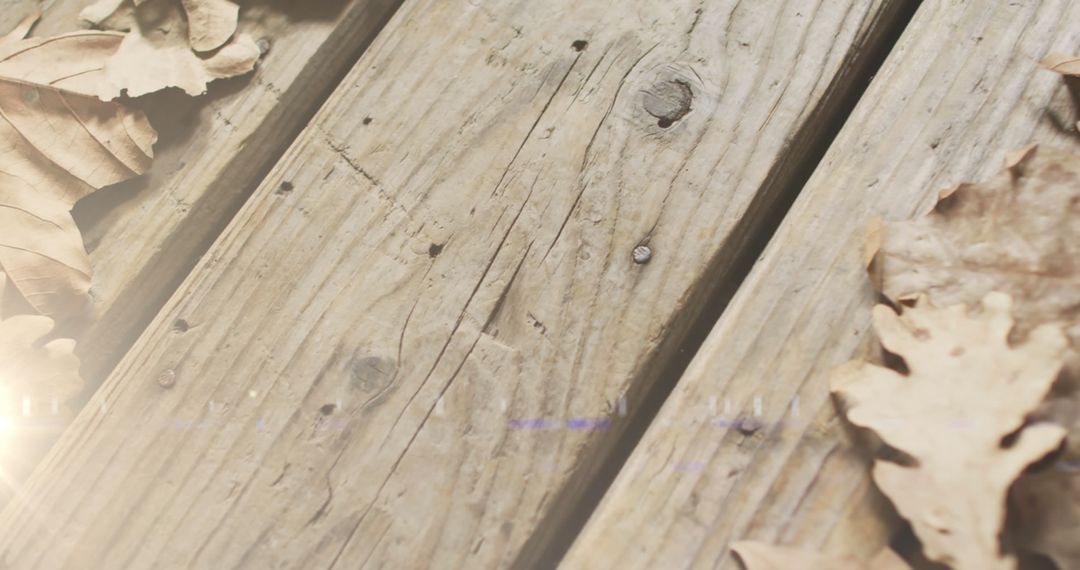 Sunlit Autumn Leaves on Rustic Wooden Floorboards