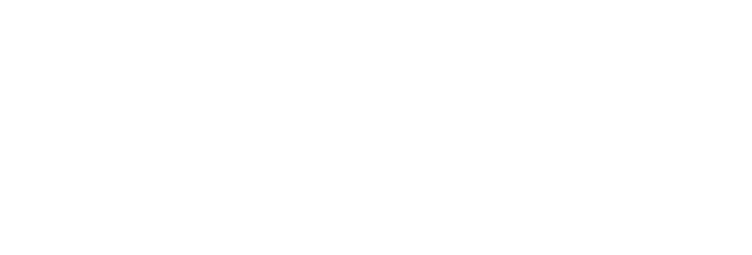 festive pine leaf pattern on transparent background vector design - Download Free Stock Images Pikwizard.com