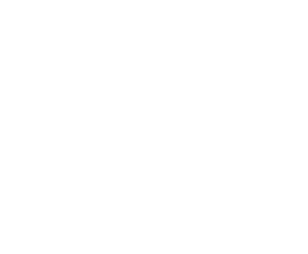 Transparent Silhouette of Woman Meditating for Yoga and Wellness Concepts - Download Free Stock Images Pikwizard.com