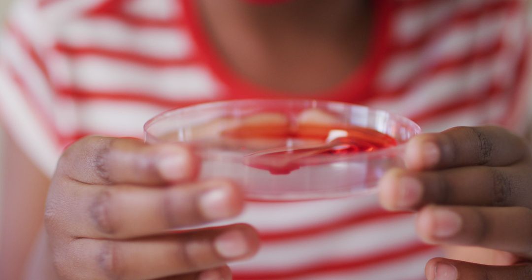 Child Holding Petri Dish Conducting Experiment - Free Images, Stock Photos and Pictures on Pikwizard.com