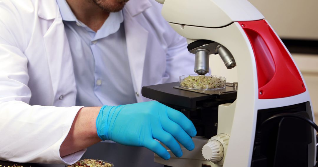 Scientist Analyzing Sample Through Microscope in Laboratory - Free Images, Stock Photos and Pictures on Pikwizard.com