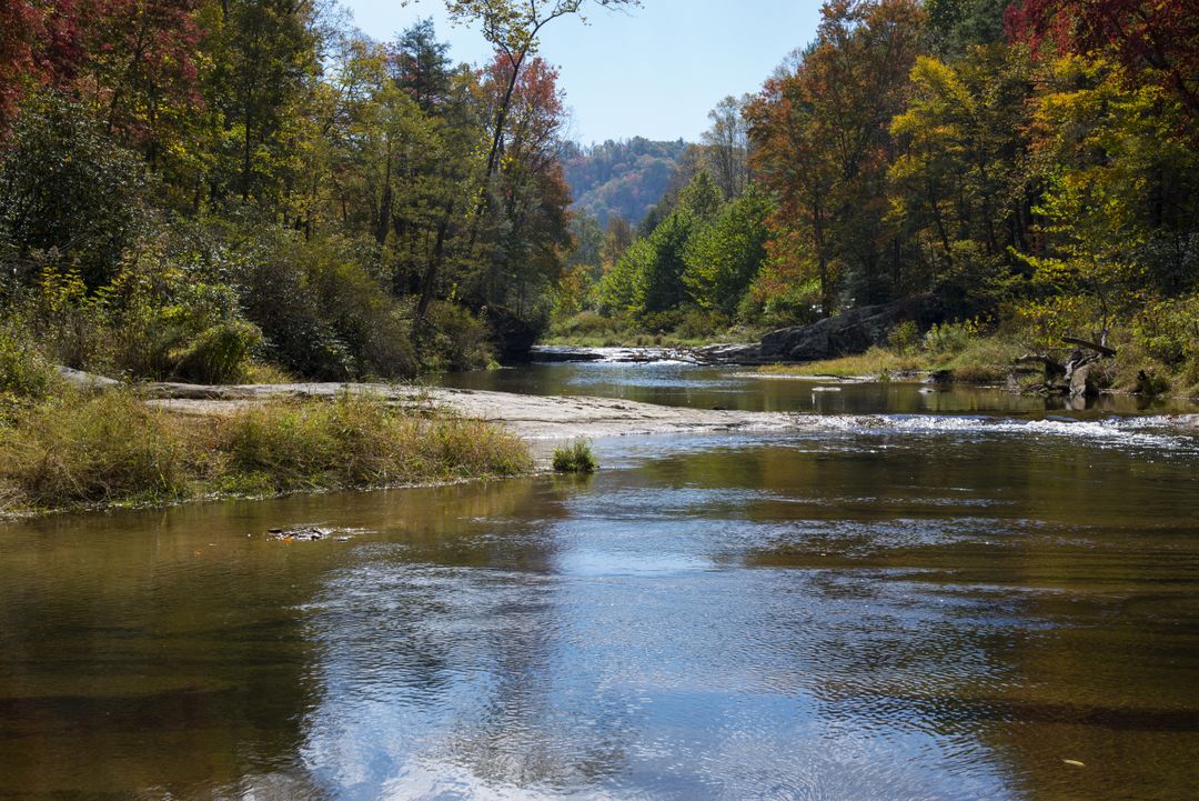 Tranquil River Scene in Autumn Forest