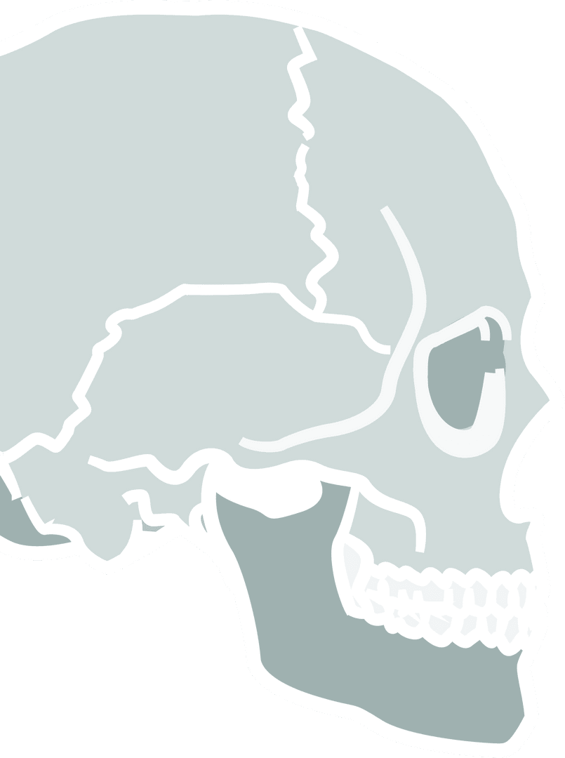 Transparent Gray Polygon Skeleton Icon Anthropological Study Graphic