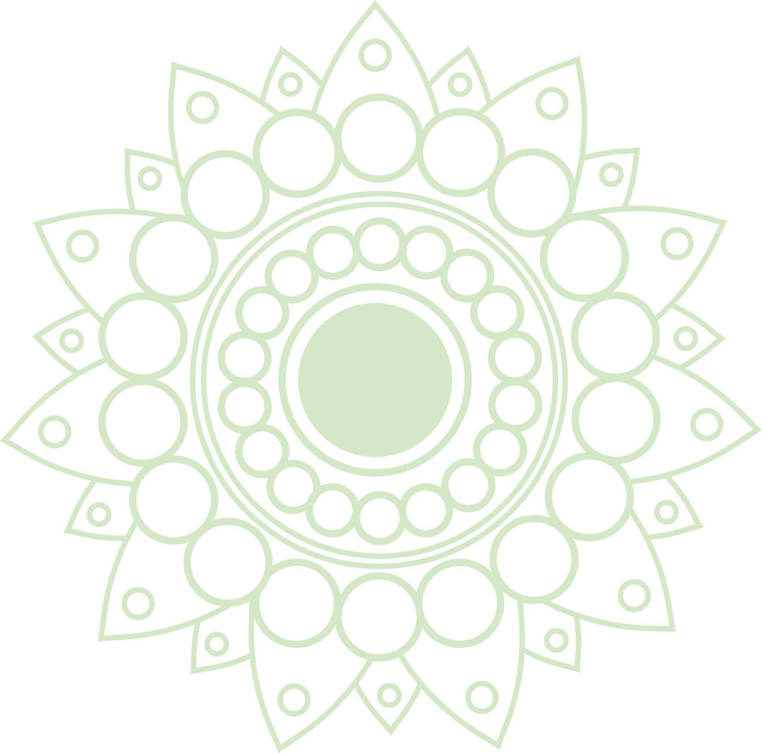 Transparent Mandala with Petals and Geometric Symmetry Pattern