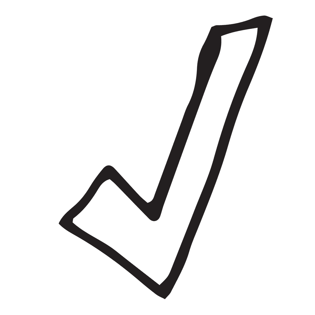 Black Check Mark on Transparent Background Symbolizes Accuracy