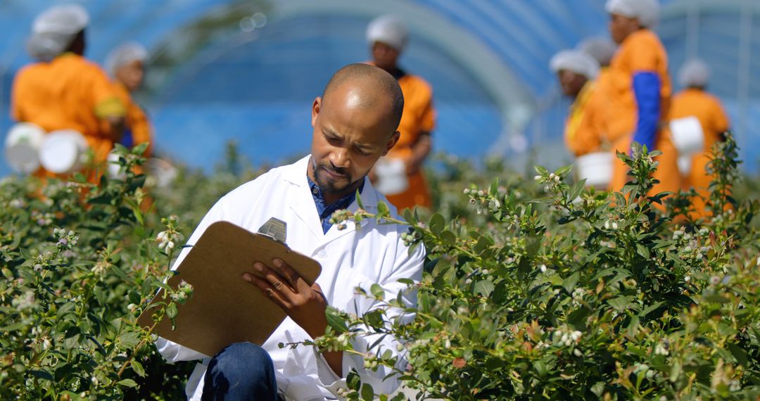 Agricultural Scientist Analyzing Crops in Field with Workers - Free Images, Stock Photos and Pictures on Pikwizard.com