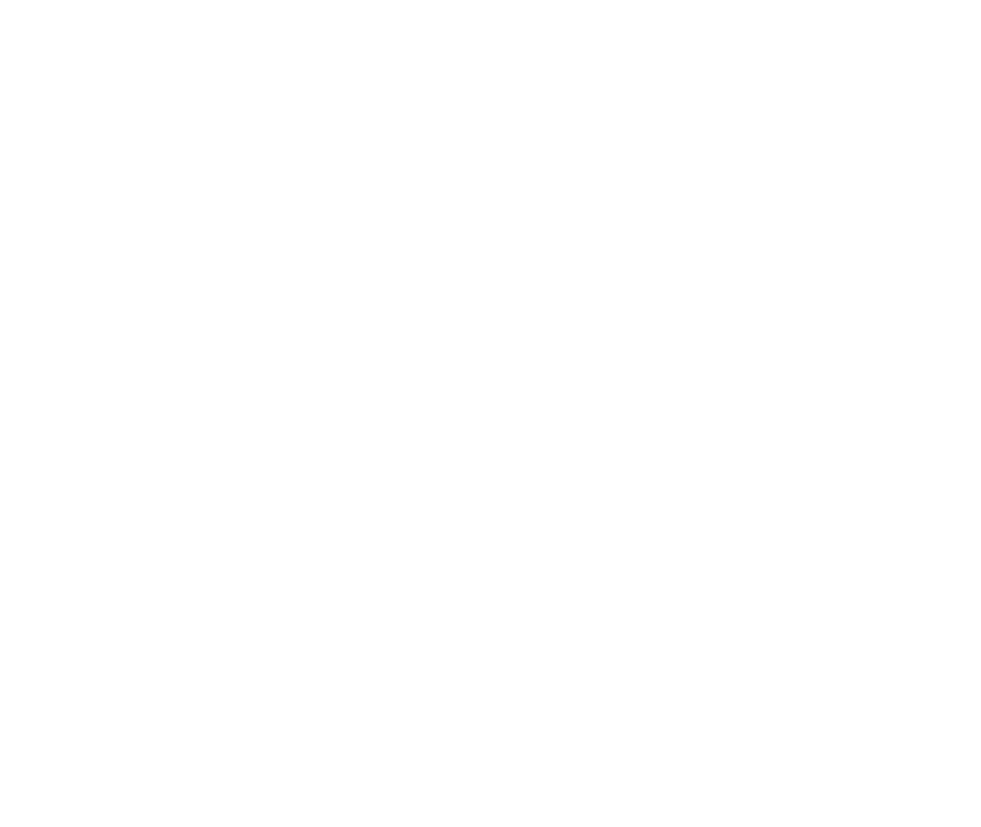 Transparent Silhouette of Spider Icon on Clear Background