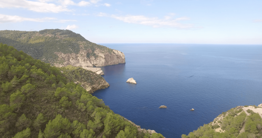 Translucent Coastal Beauty: Cliffside with Verdant Forests and Azure Sea