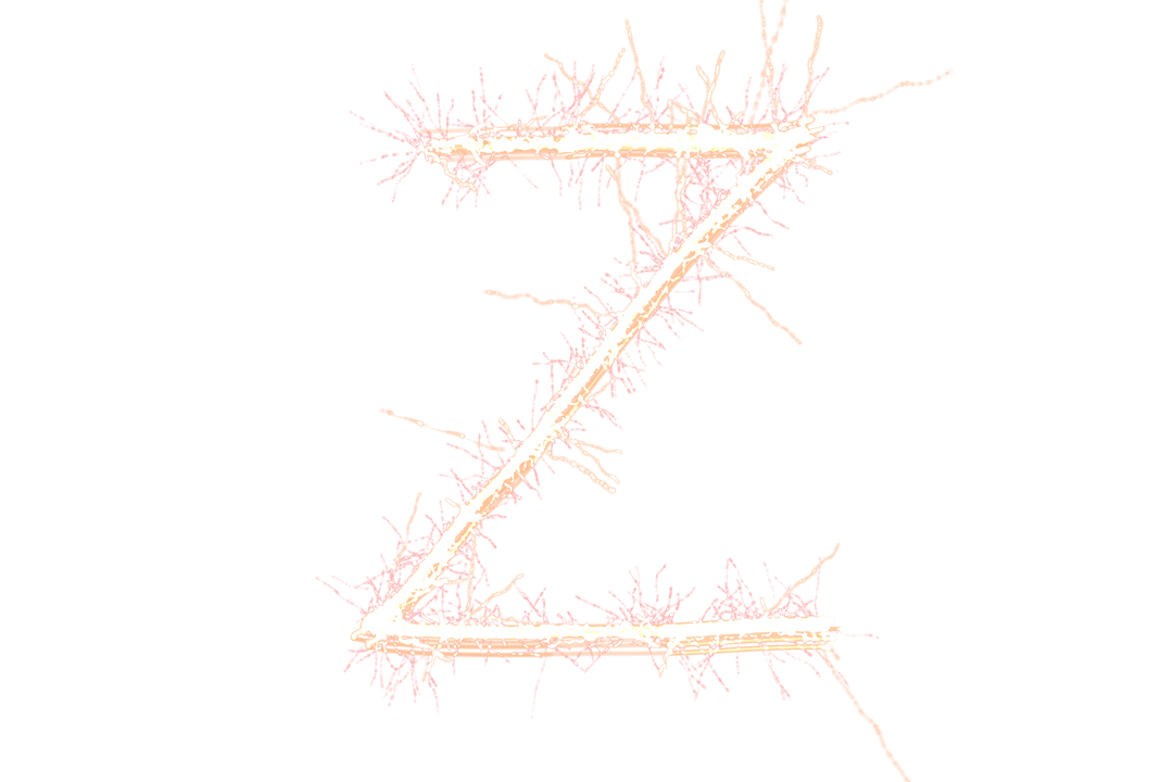 Pink Glowing Neon Letter Z on Transparent Background - Download Free Stock Images Pikwizard.com