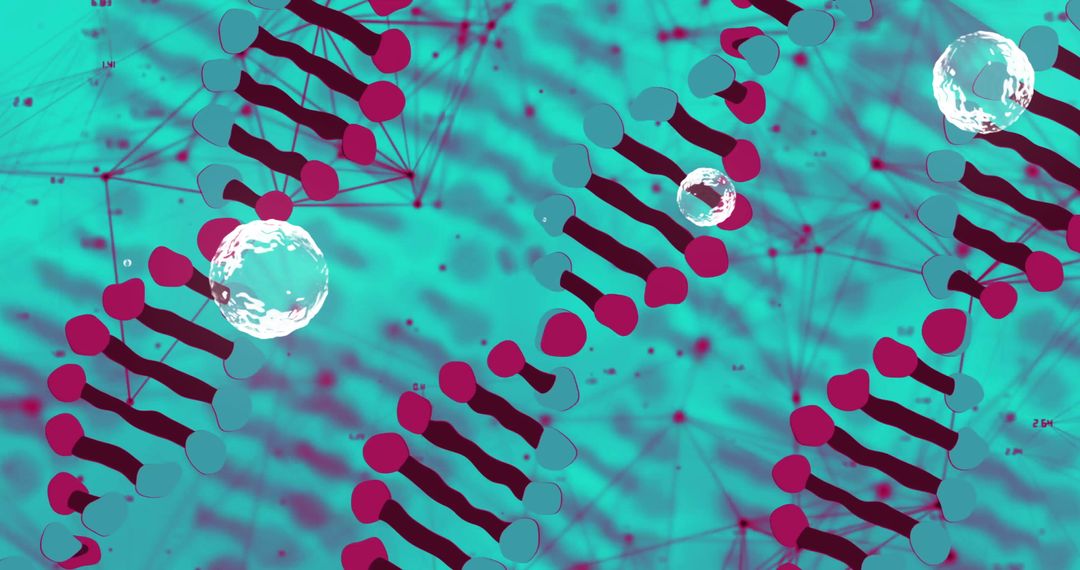 DNA Strand and Molecular Structures with Network Connections
