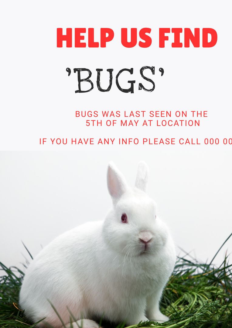 Lost Rabbit Alert Emergency Help Needed for Missing White Rabbit - Download Free Stock Images Pikwizard.com