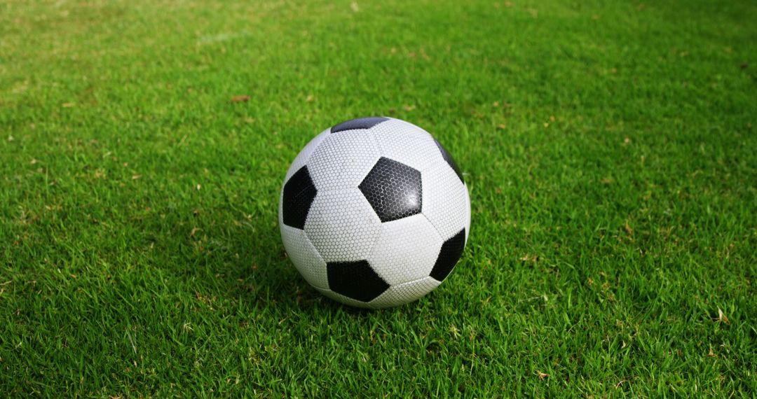 Soccer Ball on Vibrant Green Grass - Free Images, Stock Photos and Pictures on Pikwizard.com