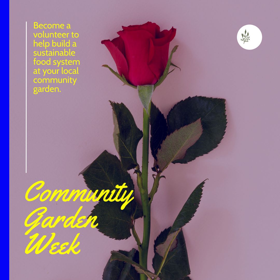 Promoting Community Garden Week with Vibrant Red Rose