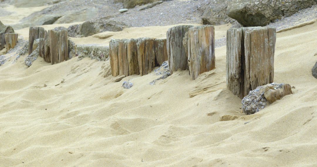 Old Wooden Groynes on Sandy Beach Shore - Free Images, Stock Photos and Pictures on Pikwizard.com