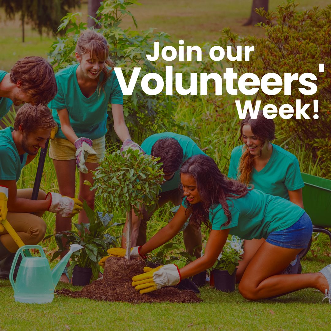 Diverse Volunteers Planting Tree in Park for Community Service Week