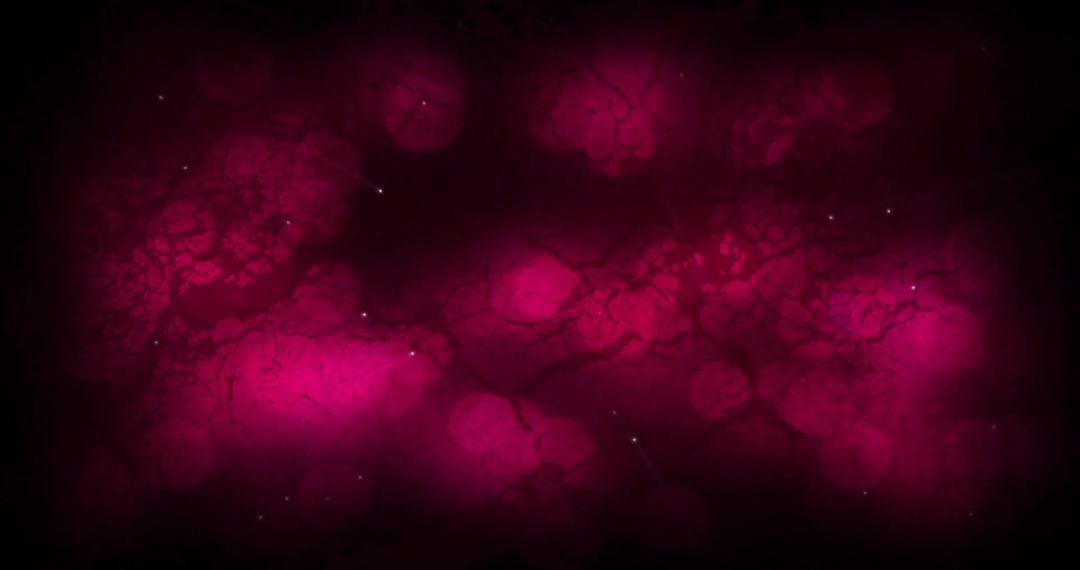 Abstract Pink Bokeh Texture on Black Background