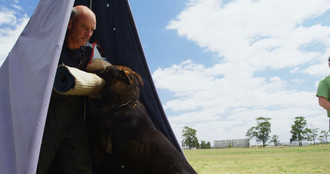 Trainer Engaging Dog During Protection Training Outdoors - Free Images, Stock Photos and Pictures on Pikwizard.com