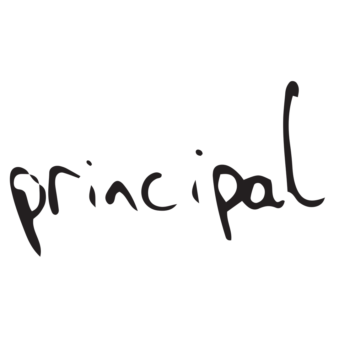 Transparent Illustration of 'Principal' Text on White Background - Download Free Stock Images Pikwizard.com