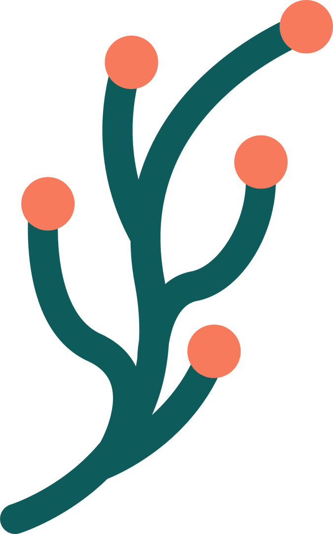 Minimalist Branching Stems with Coral Nodes on Transparent Background