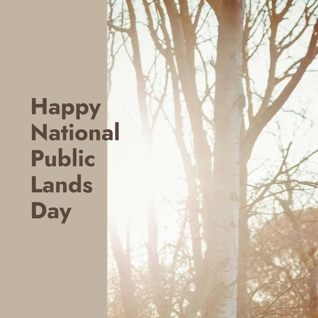 Trees in Sunlight Celebrating National Public Lands Day