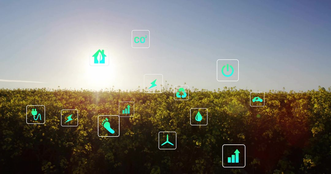Renewable Energy Icons in Rapeseed Field at Sunrise