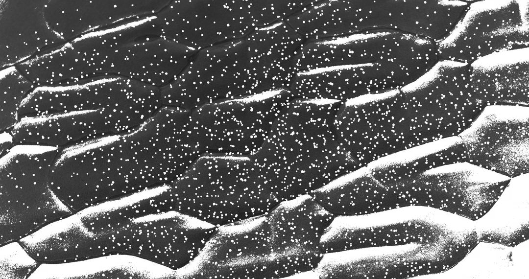 Abstract Overlay of Moving Shapes with Dynamic Black Background