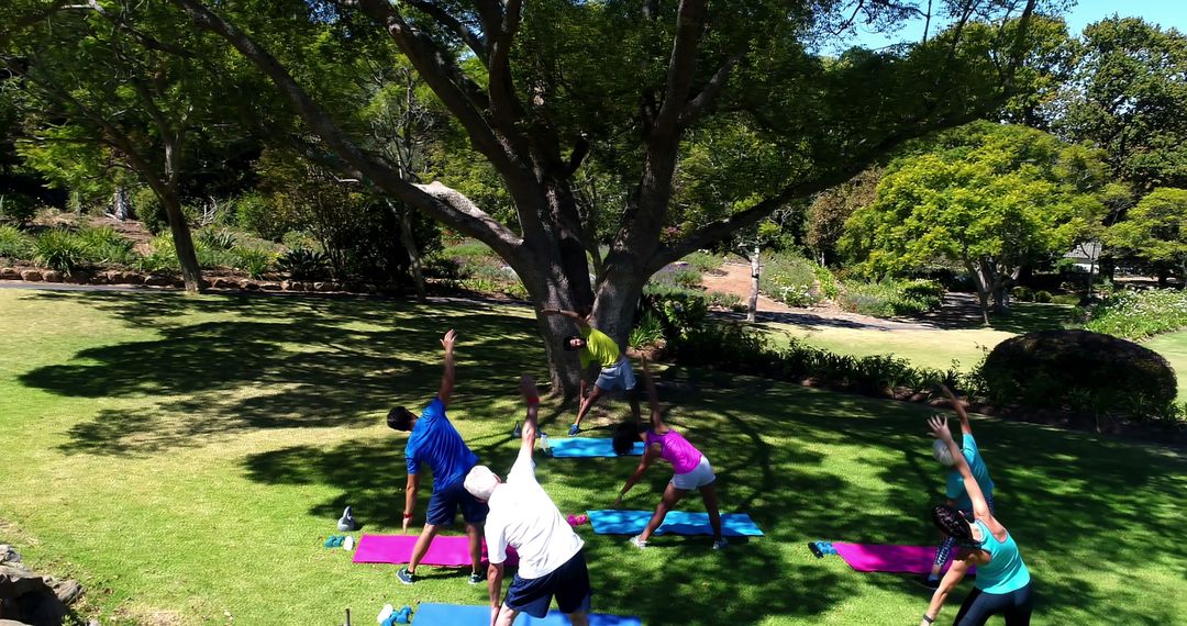 Group Yoga Class in Nature Under Large Tree - Free Images, Stock Photos and Pictures on Pikwizard.com