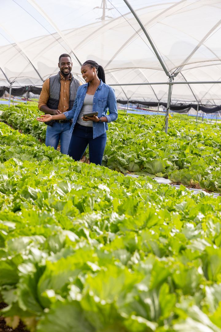 Colleagues Using Technology in Hydroponic Farming