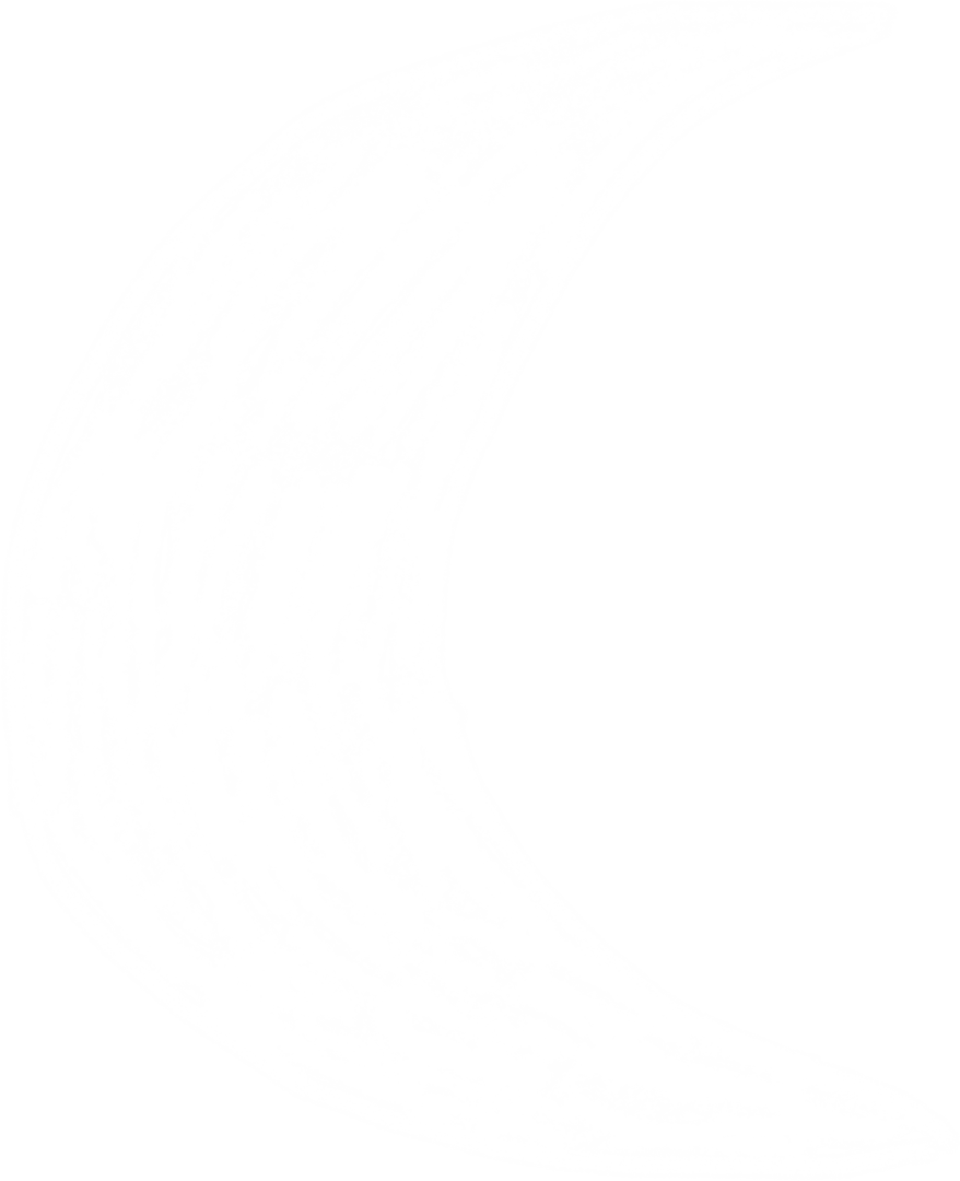 White Hand Drawn Moon on Transparent Background Illustration
