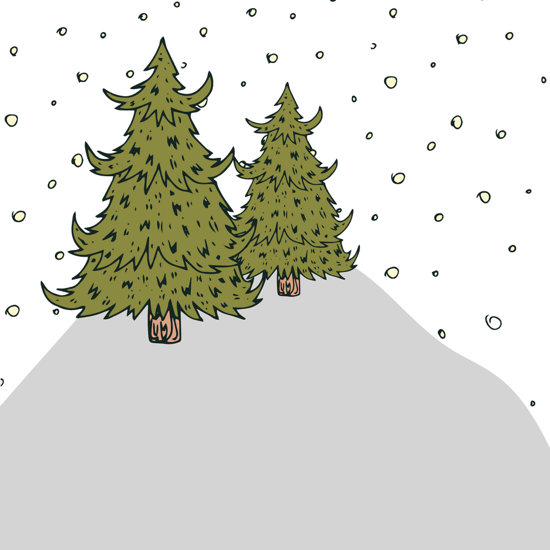 Transparent Snow Covered Evergreen Trees Under Starry Sky